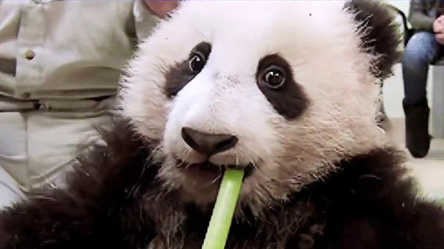 这运动普通人我看是玩不来#运动 #活久见