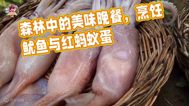 美味的烹饪鱿鱼与红蚂蚁蛋的晚餐-在森林中烹饪 #舌尖上的味道 #户外美食 #大山深处的味道 #简单的