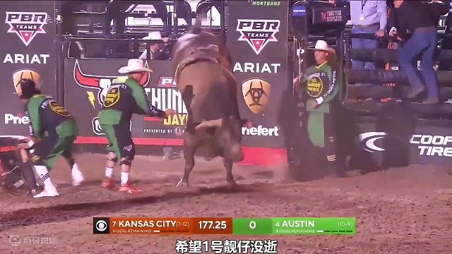 牛能在牛背上坚持8秒钟就能获得100万美金！