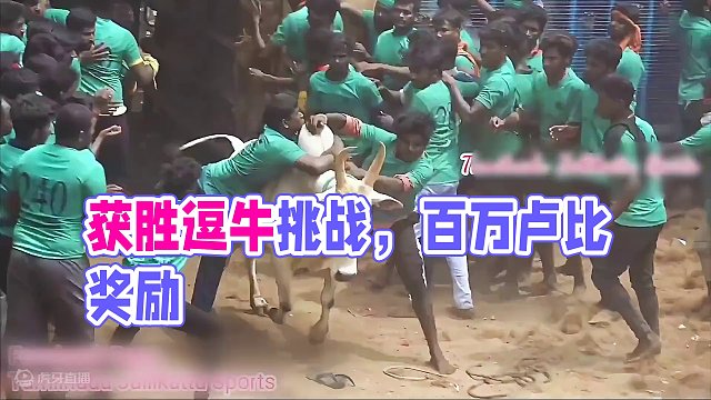逗牛挑战，获胜奖励百万卢比
