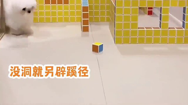 第一只:一往无前，第二只:有头脑，第三只:没头脑，暴脾气