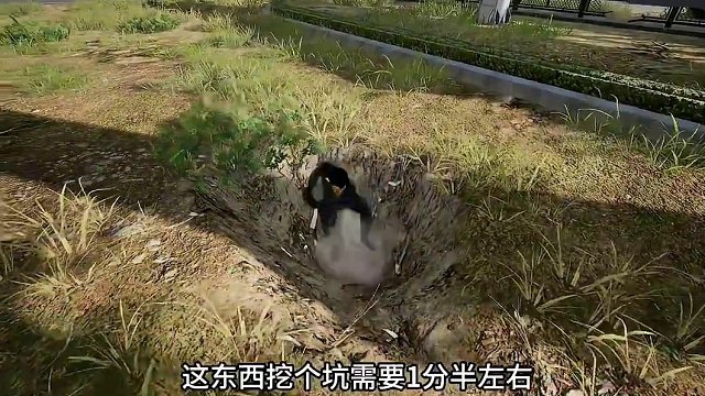 绝地求生挖坑功能怎么用？ 绝地求生挖坑功能怎么用？#绝地求生 #2024鸡斯卡星火计划