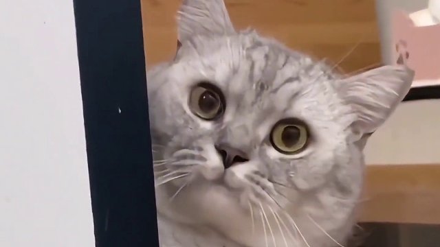 原来陌生人的善意也会让人破防