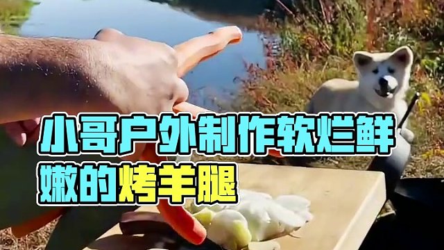 小哥户外制作软烂鲜嫩的烤羊腿#户外美食 #户外美食制作 #烤羊腿 #户外野餐