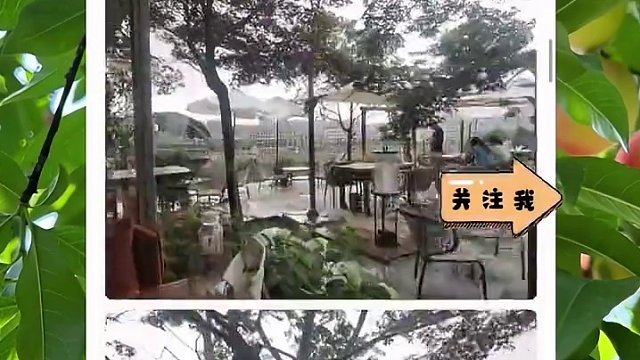 玩社交软件一定要学会合理的打直球，这样离你的目标群体就会更近一些，你的观念吸引过来的人，就是同频的#