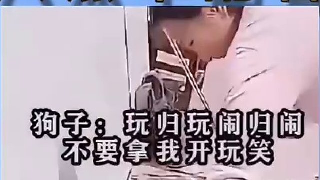重点看二哈，活脱脱的逗比！