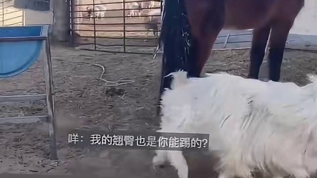 #万万没想到 #我的观影报告 #看一遍笑一遍 #每天一笑烦恼忘掉 #意想不到的结局