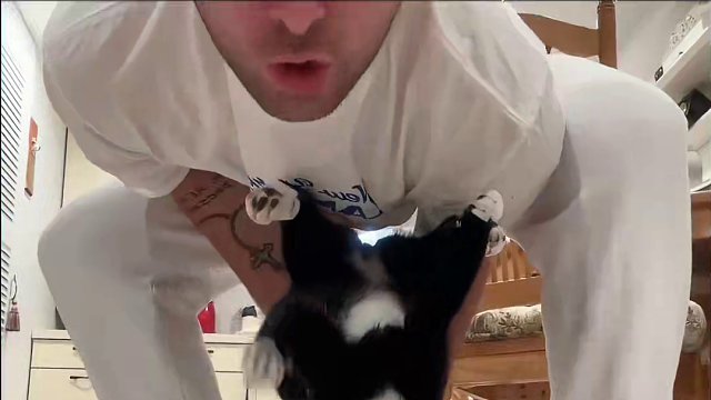 不许有人说小猫坏话！ 谁造谣！！？猫猫给他一个残影拳！！！！！