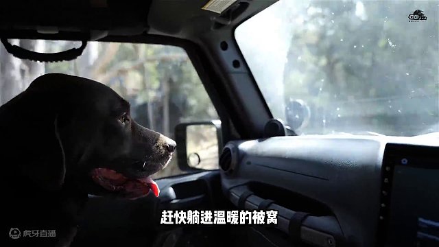 谁能拒绝在睡前刷上一集解压的床车露营。 #露营 #vanlife #露营车改装