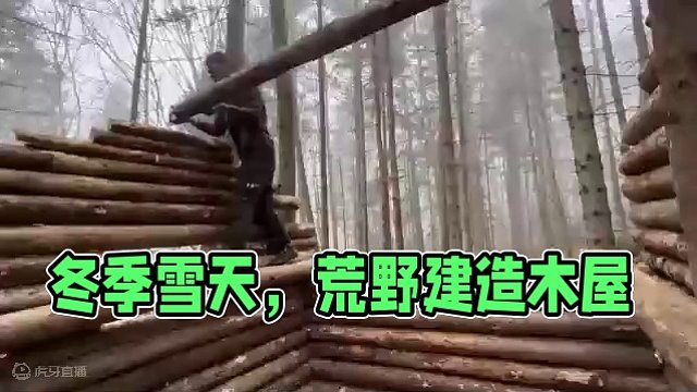 冬季 • 荒野 • 雪天 • 木屋 • 庇护所 • 人生 #荒野建造 #野外建造 #户外建造木屋 #