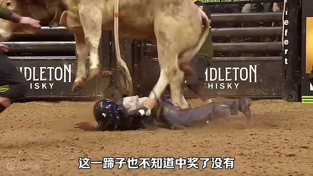 骑牛大赛，获胜奖励百万美金