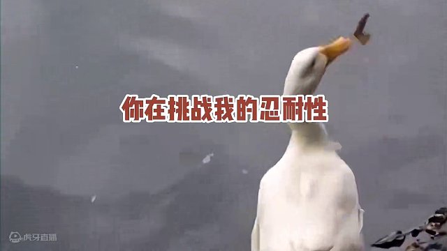 鸭子：我可以失误很多次，但你只能一次