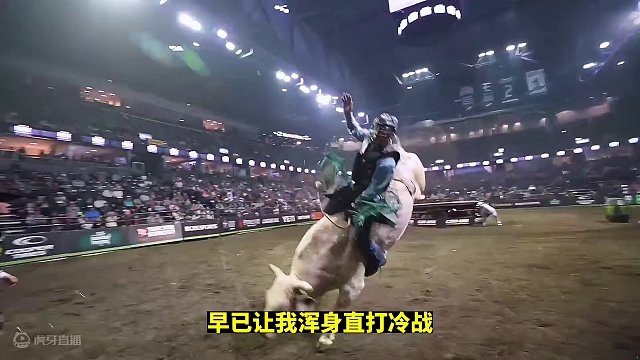 骑牛大赛，坚持八秒就可能获得百万美金