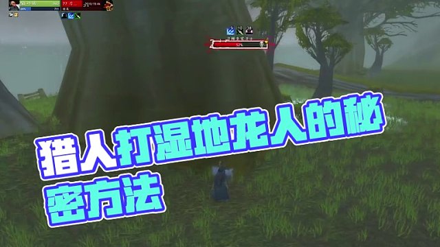 湿地龙人据说有紫装掉落 #魔兽世界 #探索赛季 P3阶段 猎人打湿地龙人的两种方法。