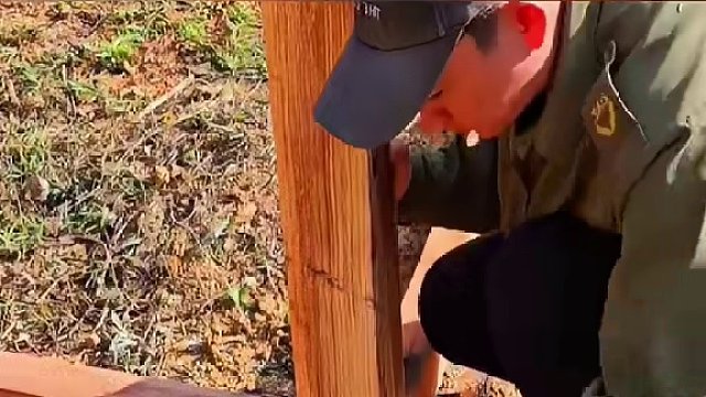 #野外生存技能 #野外生活纪录片 #农村原创视频 #野外生存 #户外求生技巧