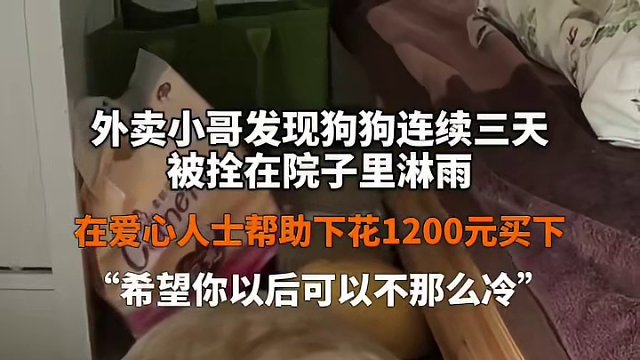 4月20日 #广东佛山 外卖小哥发现狗狗连续三天被拴在院子里淋雨，在爱心人士帮助下花1200元买下，