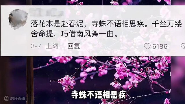 没想到当代网友人均诗仙！