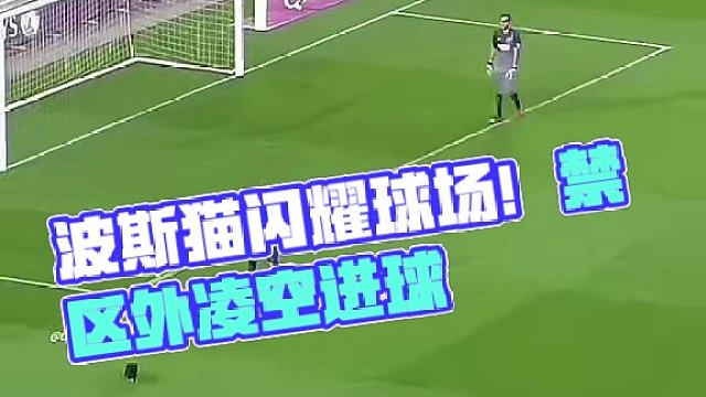 足球赛场那些不可思议的波斯猫进球！ #dou来足球季 #足球的魅力