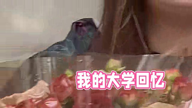 回忆的子弹 终于也打中我的眉心#大学 #遗憾#白月光