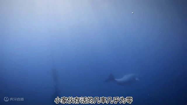 《兄 弟，你 好 甜》 （3）