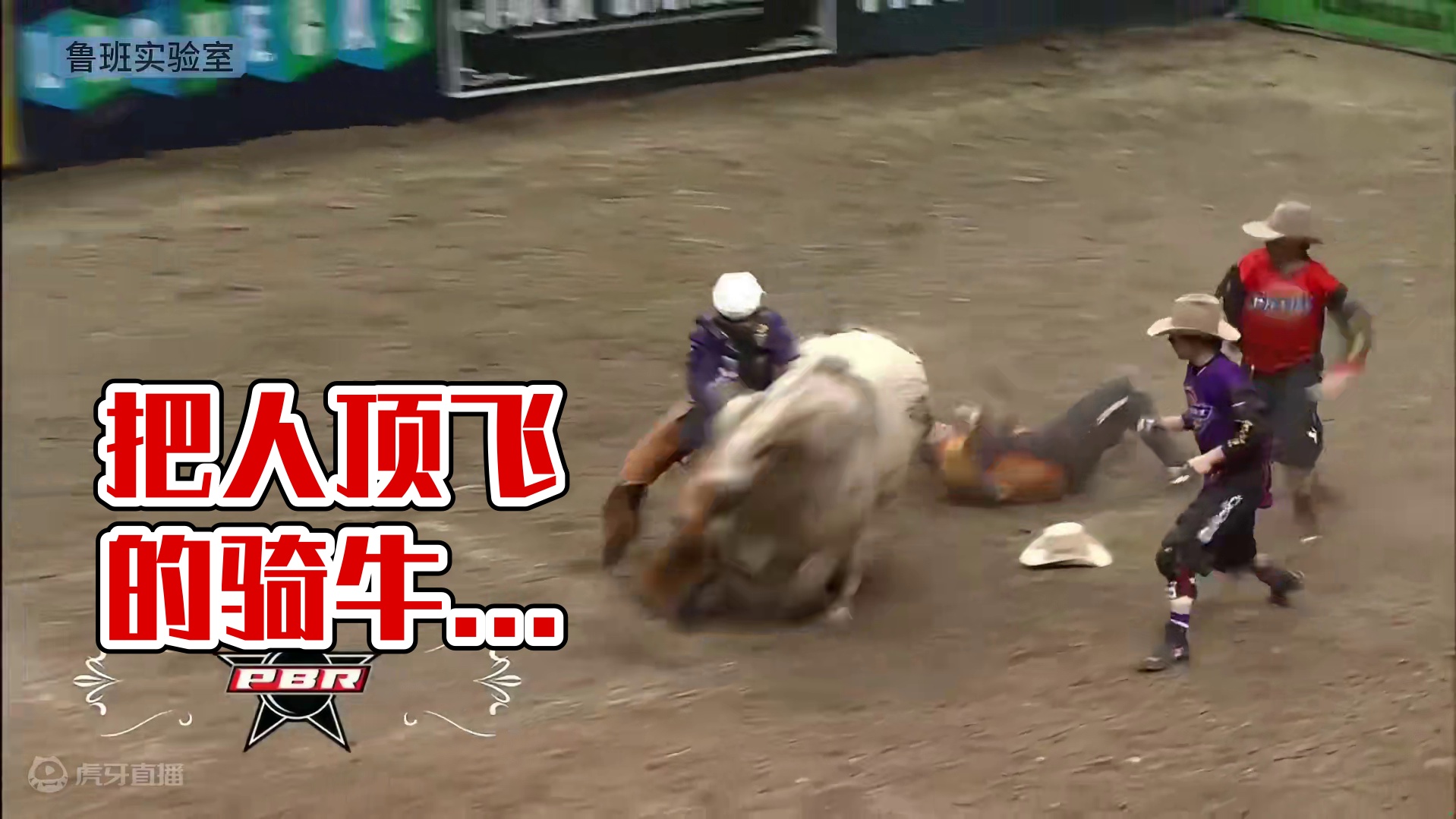 把人顶飞的骑牛挑战，谁能坚持8秒钟，奖金百万美刀。