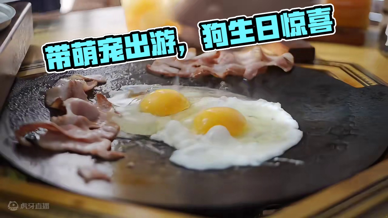 望海露营：修狗生日篇（肆）
带修狗出来露营为它庆生~
 #露营 #萌宠 #助眠 #户外露营 #上热门