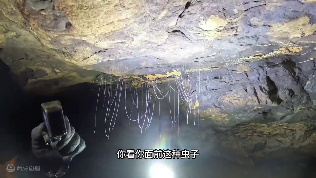 探索到深处发现巨物好像蟒蛇盘旋大墓葬，探索永无止境 #山洞到底藏着什么 #洞穴探险