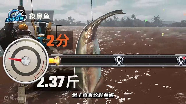 四十级开最后一个T3图啦！让我把它们钓上来看看都有些什么鱼 #欢乐钓鱼大师 #我是杰瑞米瓦德