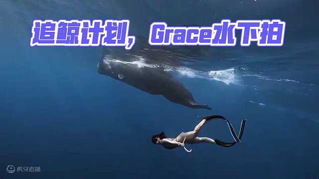 把追鲸计划列入人生清单！
出镜：Grace
拍摄：BlueSoul
#画面太美 #水下拍