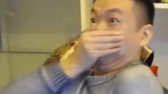 笑死我了，澳大利亚两个国宝，一个痴呆，一个超雄 #动物 #澳大利亚 #考拉 #袋鼠 #看一遍笑一遍