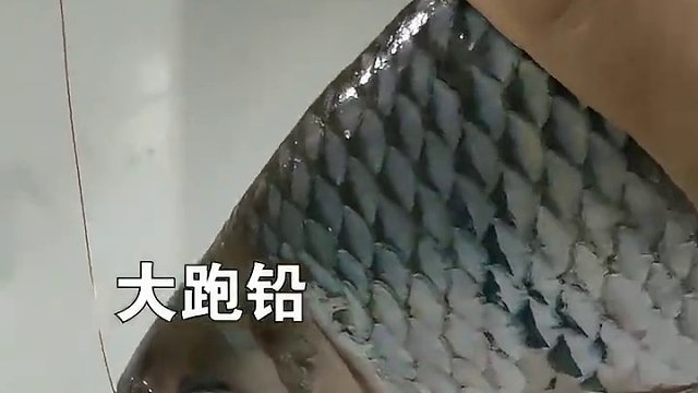 我发布了一个新视频，快来围观吧！