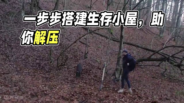 一步步教你搭建生存小屋 #荒野建造 #野外建造 #户外建造木屋 #解压助眠