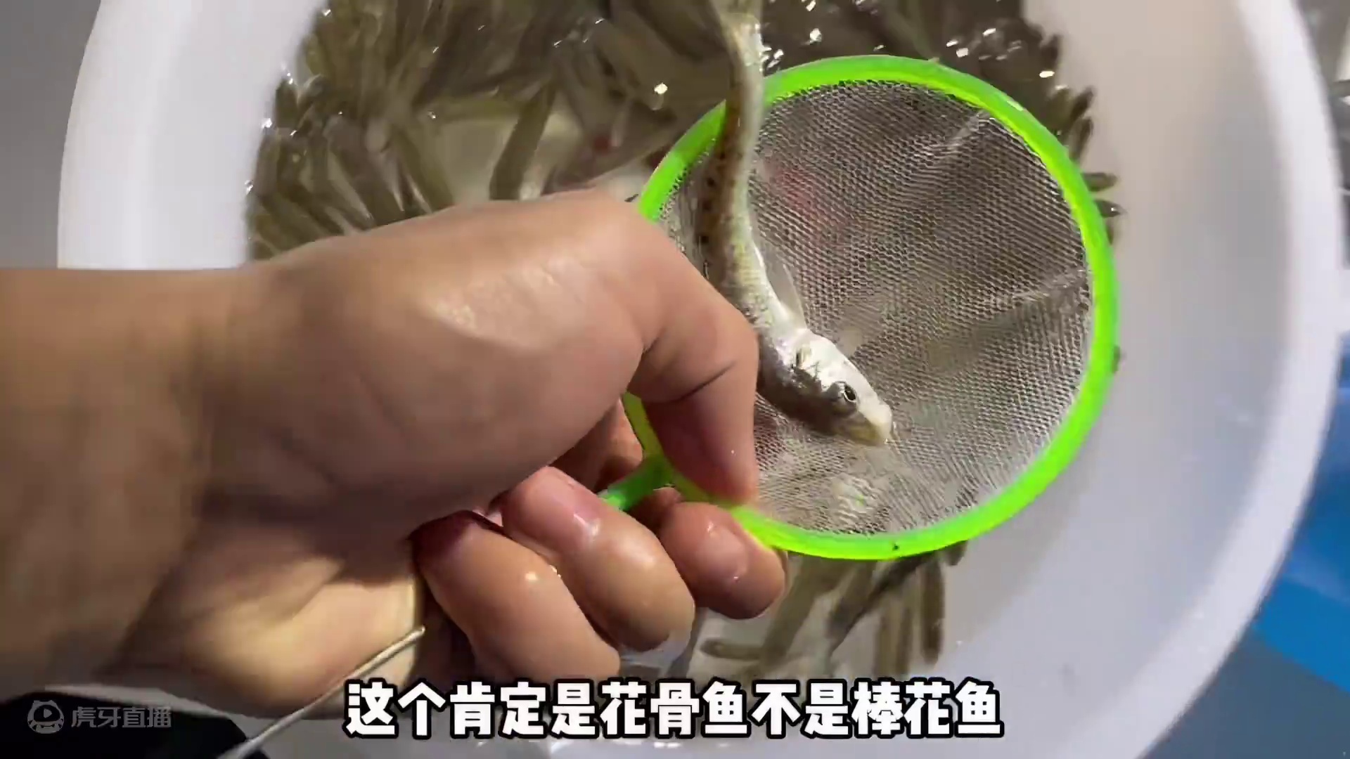 麦穗盲盒！！！