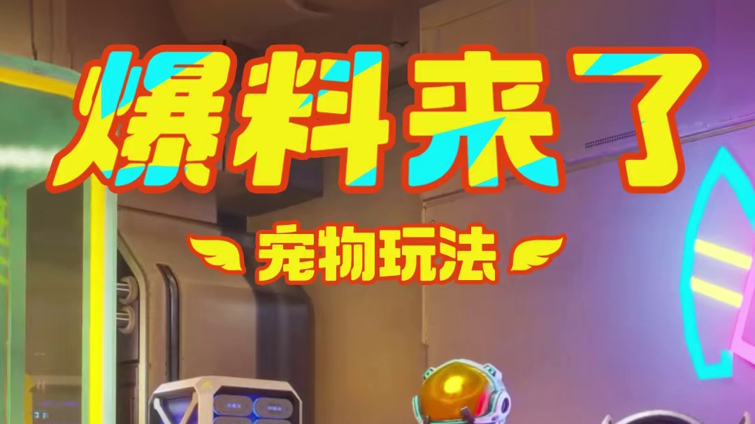 宠物玩法爆料来啦！！！