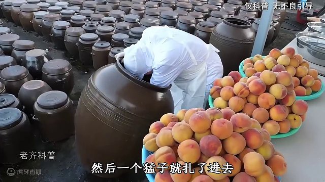 就这个清脆爽口的黄桃罐头，我能从夏天炫到下一年的夏天！#黄桃罐头 #制作过程 #大人孩子都爱吃 #黄