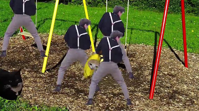 【猫meme】五一放假啦！小猫们一起出去玩！ #可爱  #鬼畜  #沙雕  #校园  #放假就是这么