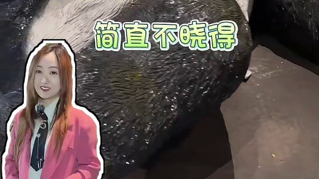 五一假期来成都旅行，记得来吃火锅 #成都美食 #成都本地人推荐的美食 #谁懂这一口的好吃程度 #同城