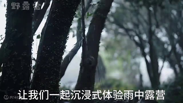谁又能拒绝在睡前刷上一集超解压的雨中露营呢？看完保证让你美美入眠。#雨中露营 #助眠 #解压 #沉浸