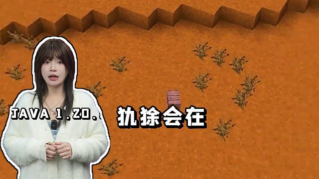 我的世界：犰狳、狼铠甲、变种狼正式实装！ #mc #我的世界