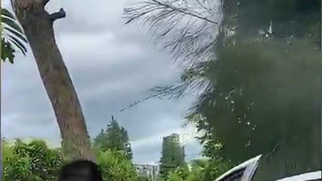 这树上竟然长羊了，快去请“荒漠屠夫”