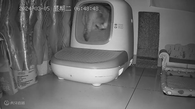 你们有没有觉得看自己家猫咪睡觉就觉得很治愈，真的像个宝宝一样的  