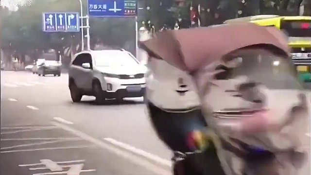 218. 盘点碰瓷失败冥场面：碰瓷一朝失手就无救，警察在边上竟还敢犯事