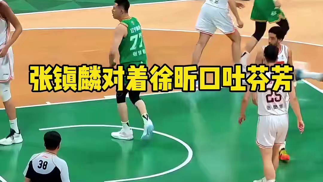 徐杰胆子太大了，竟然怒吼张镇麟