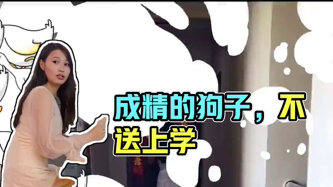 281. 盘点那些成精的狗子，不送去上学可惜了