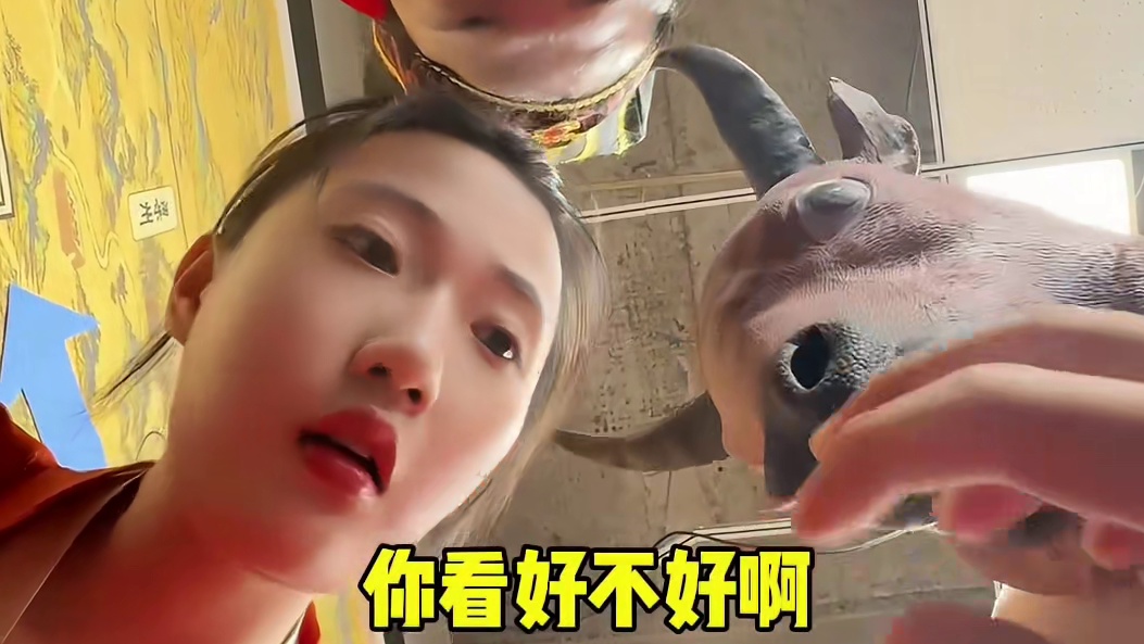 赤兔别把我当外人啊 #煮酒论枭雄 #曹操斗地主 #三国斗地主