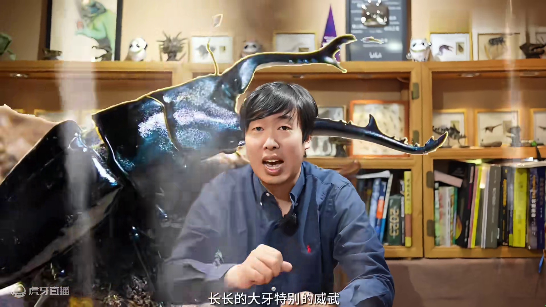 极度舒适，沉浸式寻找雨林猛甲！怕疼勿进！