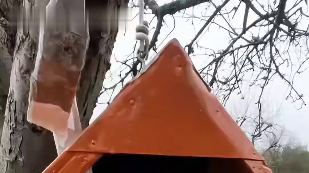 那些美好的动物视频！