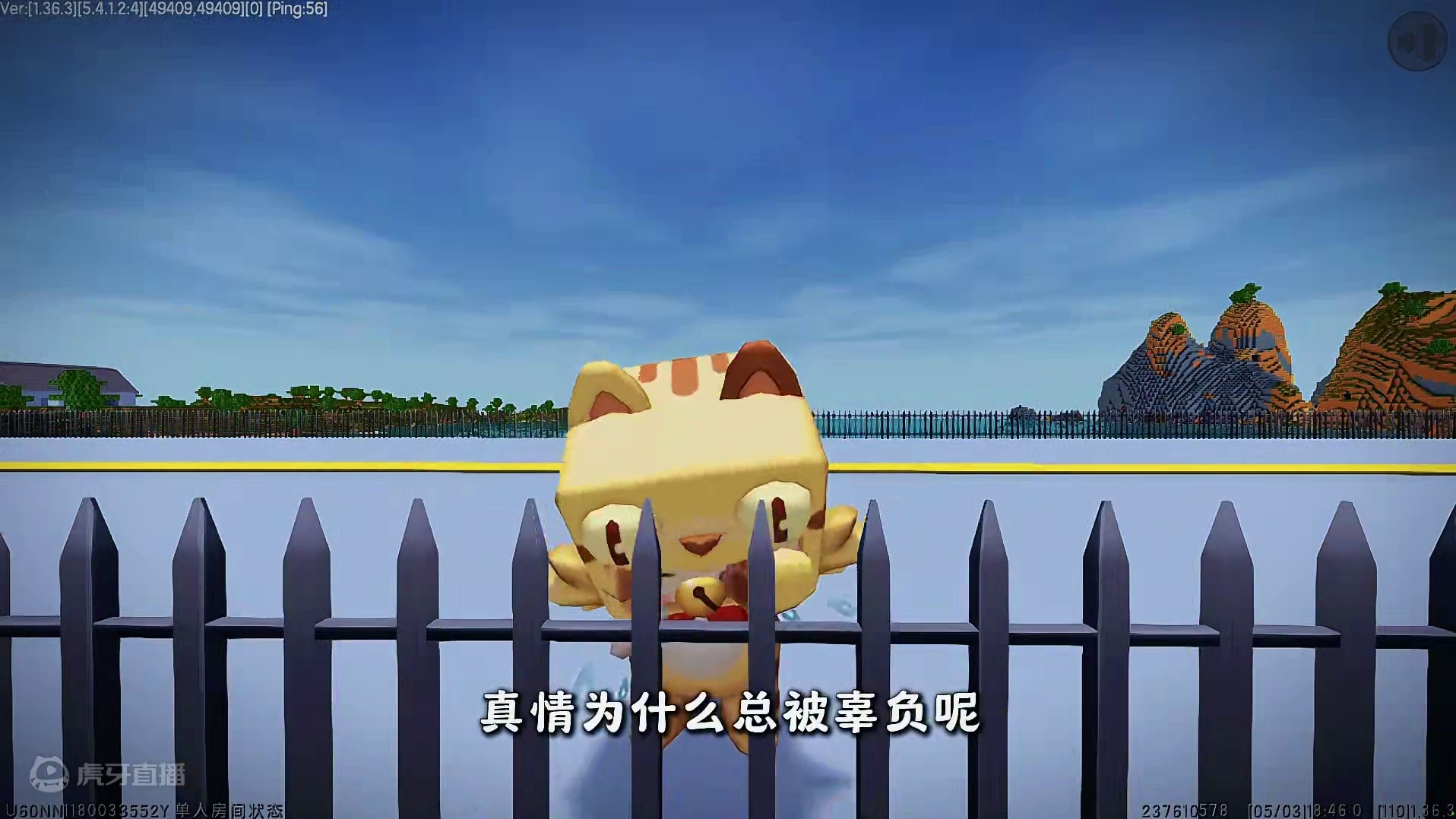 愿胖猫来生遇良人！ #胖猫