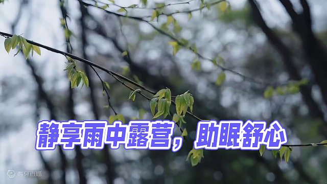 雨中露营（叁）
一个人在树林里静静地露营听雨，真是一件惬意的事情~
 #露营 #雨中露营 #助眠 #