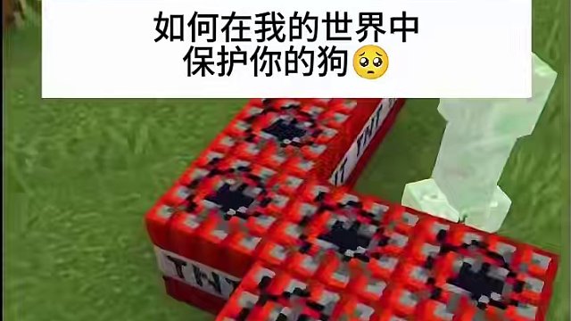 #Minecraft #我的世界 #方块怪盗追捕行动 #我的世界撸树计划